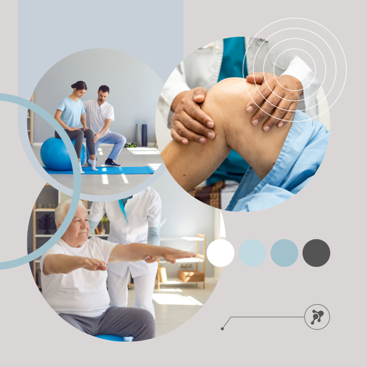 Фитокрем-бальзам (Крем для суставов, фитокрем) для суставов, локтей 250 мл. DctrGo  в Сочи